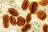 2 researchers charged with smuggling...
