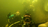 How 'spacewalking' underwater made me...