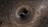 Built not born: Huge black holes form...
