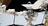 Expedition 75 Cleans Up After...