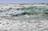 New Report: Ocean Carbon Removal Shows...