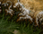 Nepal flash flood nightmare: What...