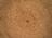Curiosity Blog, Sols 5016–5021:...