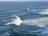 World Oceans Day Reimagines Our...