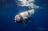 Titan submersible operated with...