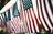 This July 4, Celebrate Our...