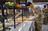 Expanded dining options popular among...