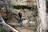 Drive for Nuclear Power Boosts Uranium...