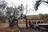 Israeli Settlers Launch a Coordinated...