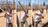 'Israeli settlers laid siege to our...